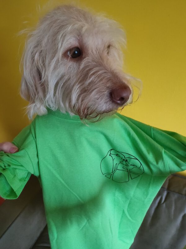 Shirt model 3 "Vrouwtje Timmie" 3 jaar